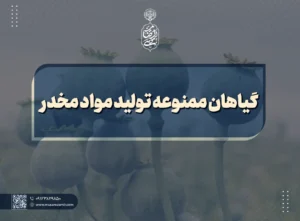 گیاهان ممنوعه تولید مواد مخدر