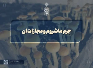 جرم ماشروم و مجازات ان